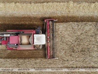В Беларуси осталось убрать менее 8% площадей зерновых