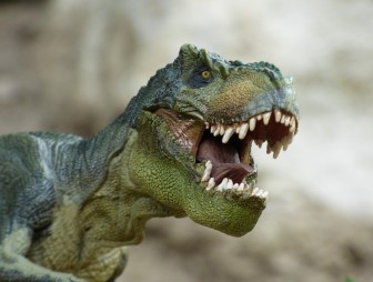 Ученые узнали, сколько весили динозавры