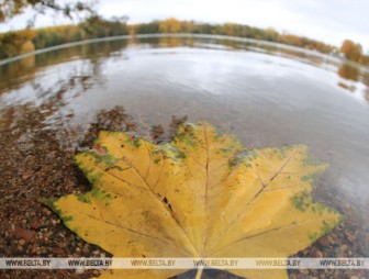 Синоптики рассказали, когда в Беларусь придет настоящая осень