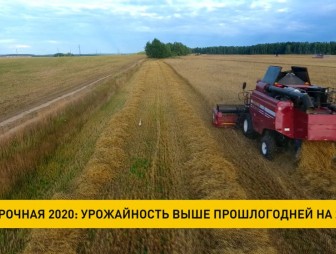 Уборочная-2020: урожайность выше прошлогодней на 25%