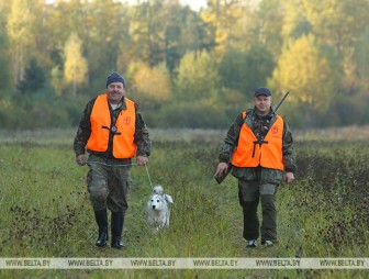 В Беларуси упростили правила охоты. Чего коснулись главные изменения?