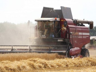В Беларуси намолотили почти 8,1 миллиона тонн зерна