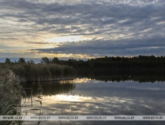 До +21°С ожидается в Беларуси 7 октября