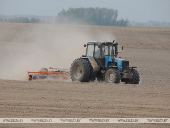 В Беларуси завершается сев озимых зерновых