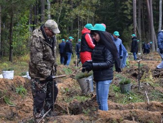 Высадили более 10 000 молодых деревьев. Сотрудники Комитета госконтроля Гродненской области присоединились к акции «Чистый лес»