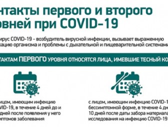 Инфографика. Контакты первого и второго уровней при COVID-19