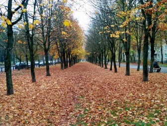 До +6°C, мокрый снег и дожди. Погода на неделю с 9 по 15 ноября. Подробный прогноз