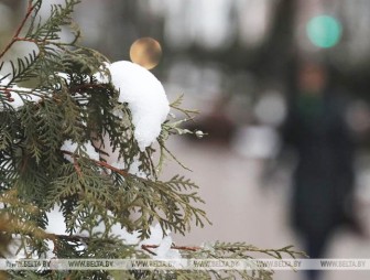 Дождь и мокрый снег ожидаются в Беларуси 27 ноября