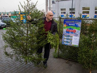 Деревья в кадках, сосны и даже новогодние букеты. Когда откроются елочные базары и что еще будет в ассортименте?