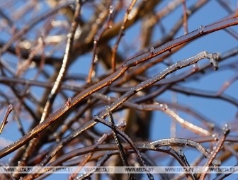 Порывистый ветер и до -12°С ожидается в Беларуси 8 декабря