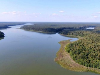 Закрытие мини-полигонов и снос ветхих зданий. В облисполкоме обсудили наведение порядка на земле