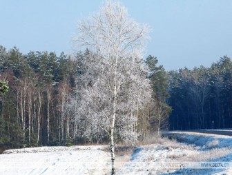 До -11°С ожидается по востоку Беларуси 9 декабря