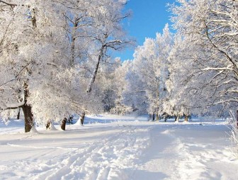 Очень тепло. Температура воздуха в Беларуси 16 декабря была на 2-4 градуса выше нормы