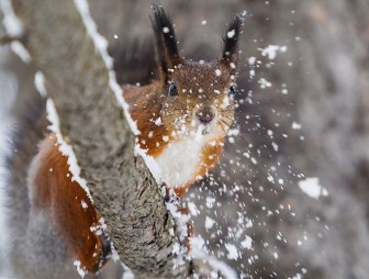 Дожди, мокрый снег и почти +10°C. Прогноз погоды на неделю