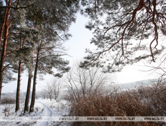 В Беларуси к концу недели похолодает