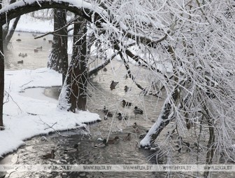 Снег и до -6°С ожидается в Беларуси 9 января