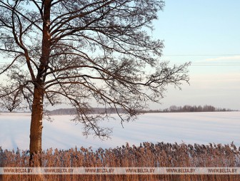 Сильные морозы в Беларуси продлятся до середины следующей недели