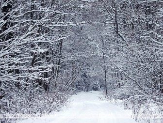 До -26°С ожидается в Беларуси 20 января