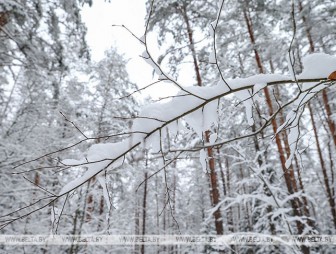 До +4°С ожидается в Беларуси днем 22 января