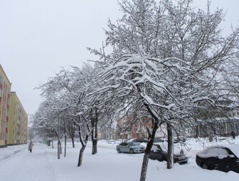 ФОТОФАКТ. Мосты под снежным покровом циклона 'Ларс'