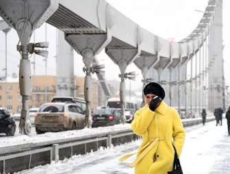 'Это настоящая буря, Армагеддон, апокалипсис': снегопад в Москве