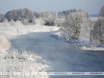 Туман и гололедица ожидаются в Беларуси 20 февраля