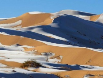 «Мороженое с шоколадной крошкой». В Саудовской Аравии выпавший снег засыпало песком