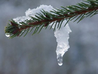 Потеплеет до +10°С. Синоптики рассказали о погоде на конец февраля