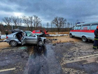 Трагедия в Волковысском районе: в ДТП погиб новорожденный ребенок