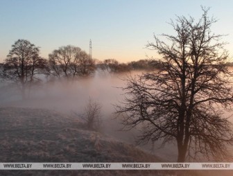 Туман, мокрый снег и до +6°С ожидаются в Беларуси 19 марта