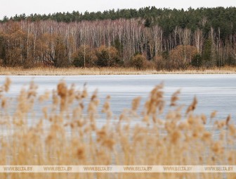 Мокрый снег и дождь ожидаются в Беларуси 3 апреля