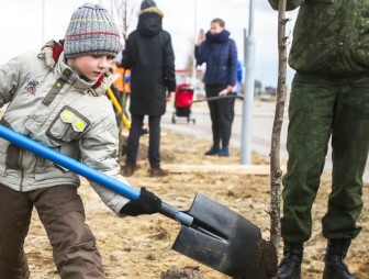 Республиканский субботник пройдет в Беларуси 17 апреля