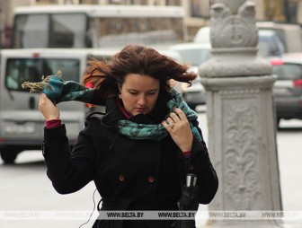 МЧС напомнило правила безопасности при сильном ветре