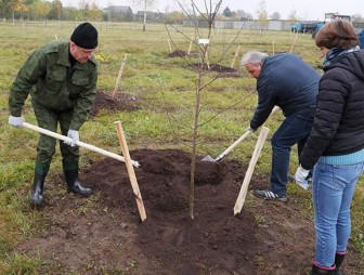 Минздрав дал рекомендации о проведении субботника в условиях СOVID-19