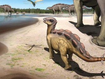 В Китае нашли самый маленький след стегозавра