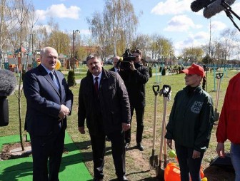 Александр Лукашенко дал дополнительные поручения по благоустройству Брагина и подобных ему городков