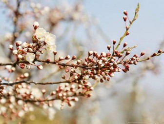 Не май месяц! Когда в Гродно придет тепло?