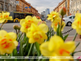 Оранжевый уровень опасности объявлен в Беларуси на 6 мая из-за сильного ветра