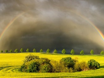 До +22°С ожидается в Беларуси 3 июня