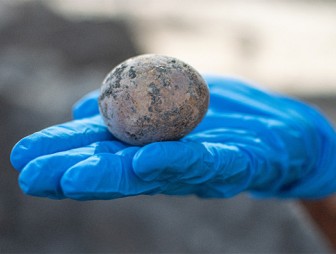 Тысячелетнее яйцо обнаружили израильские археологи