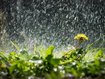 Дожди, грозы и опять выше +30°C. Погода на неделю с 26 июля по 1 августа. Подробный прогноз