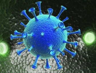 Почти 4,4 млн человек в мире заразились коронавирусом за неделю