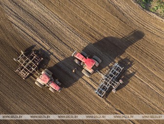 Сев озимых зерновых в Беларуси проведен почти на половине площадей