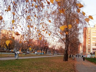 Потеплеет? Какой будет погода в ноябре в Беларуси