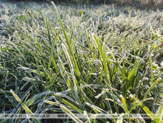 До -10°С ожидается в Беларуси на этой неделе