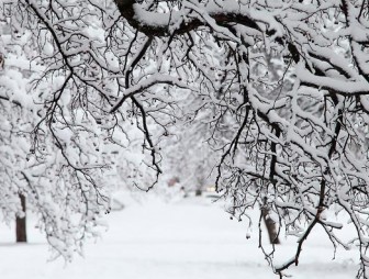 Снег и до -10°С ожидается в Беларуси в выходные