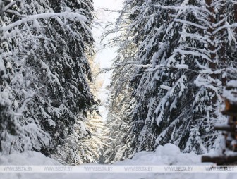 До -23°С ожидается в Беларуси 8 декабря