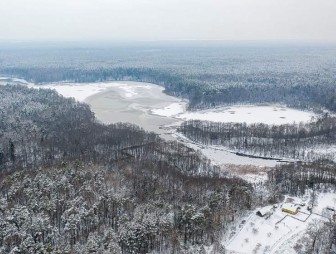 В Беларуси к концу недели похолодает