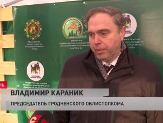 Владимир Караник о лесопереработке: «В Гродненской области мы создаём целые технологические цепочки»