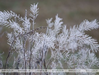 Небольшой снег и до -18°С ожидается в Беларуси 21 декабря